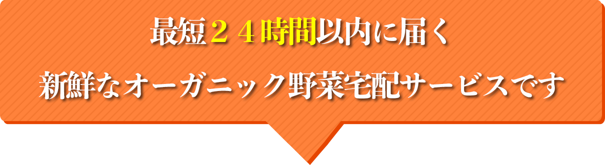 最短24時間以内に届く新鮮なオーガニック野菜宅配サービスです