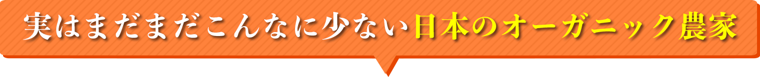 最短24時間以内に届く新鮮なオーガニック野菜宅配サービスです